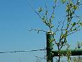 2013-04-14 11.34.11